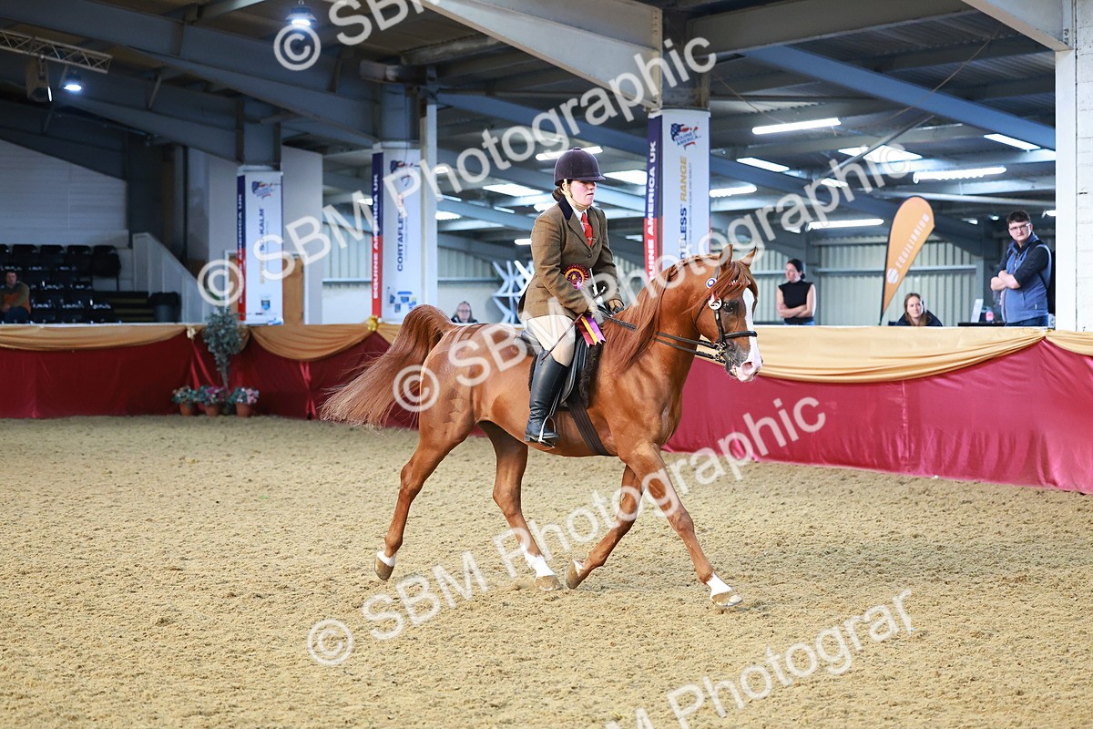 SBM_07772 - Class 101 - HOYS Veteran Qualifier - Ridden Diamond