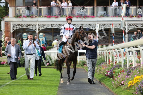 yr04092022r4-25 - Race 4 3.30pm Federation of Bloodstock Agents Nursery Handicap