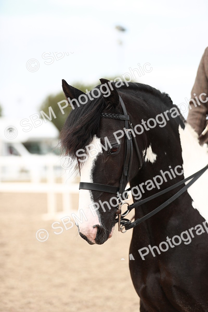 SBM_16735 - Class 214 Ridden Cob