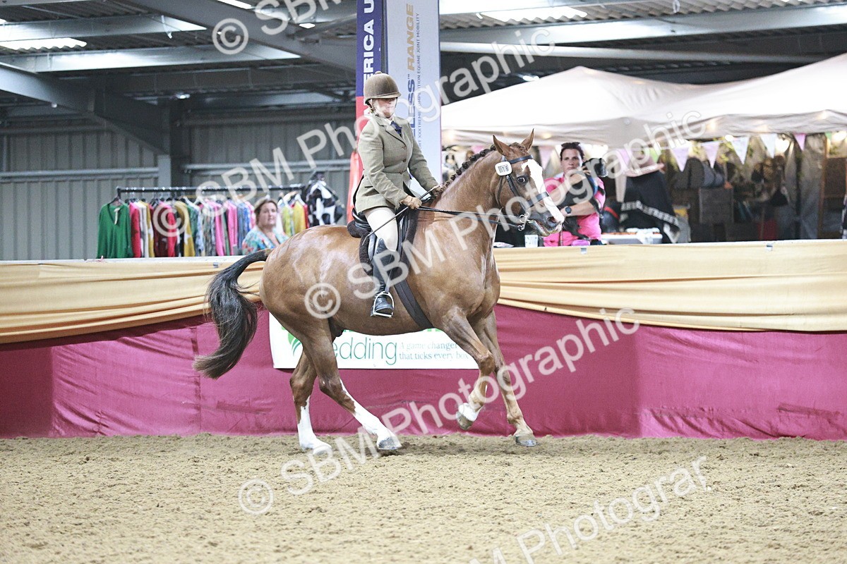 SBM_08959 - Class 12R - Regional Ridden Pre-Vet