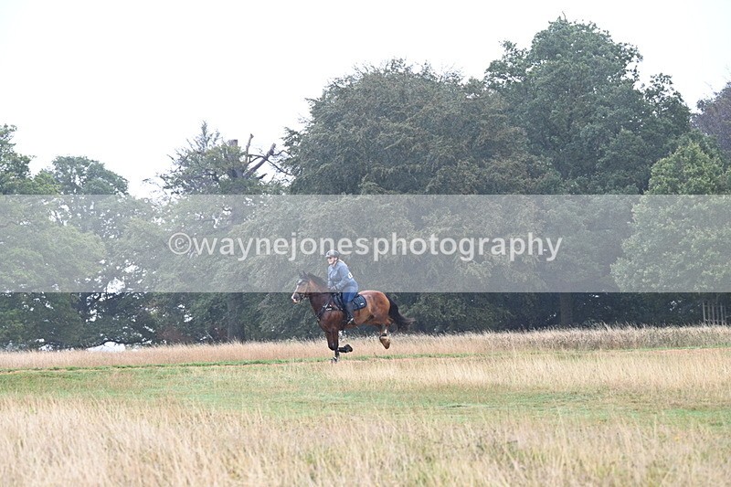 DSC_1025 - Time at Statue 10:58 to 11:53