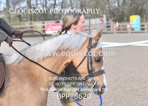 BPP_8620 - TRAINING STAKES