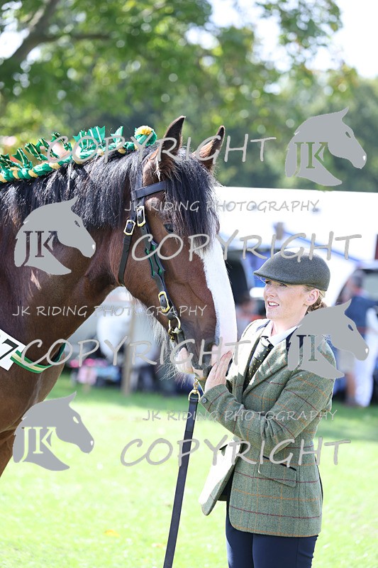 APP_3194 - Class 3 Youngstock