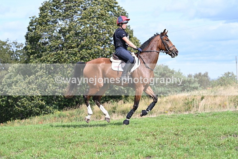 WJ7_2010 - Time 13:17 to 13:53