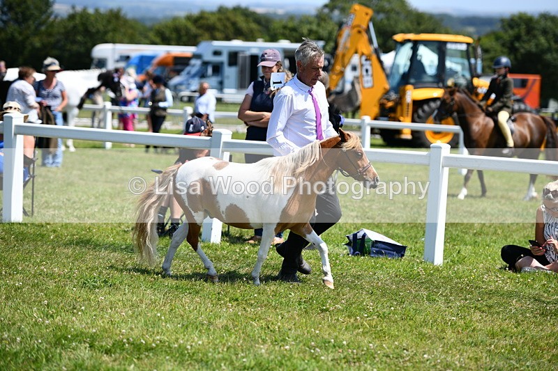 DSC_7579 - Class 64: Coloured Pony 4yrs & over