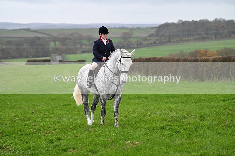 WJ7_8887 - Meet Staff & Hounds