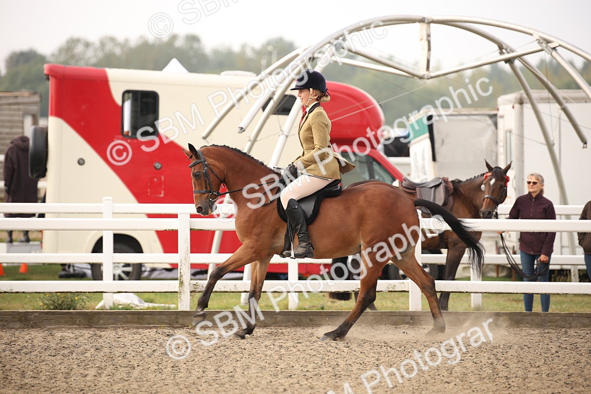 SBM_09783 - Class 401 Riding Club Pony