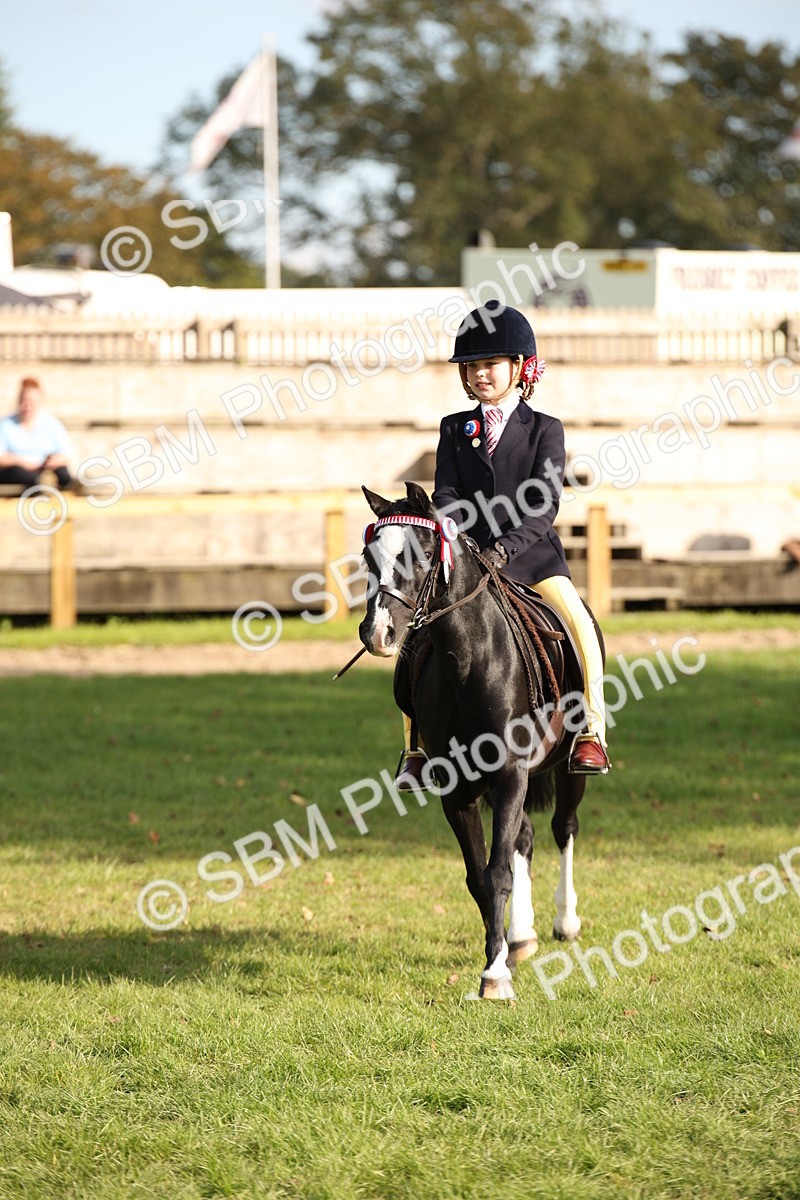 SBM_50146 - S26 - Young Veteran - Ridden