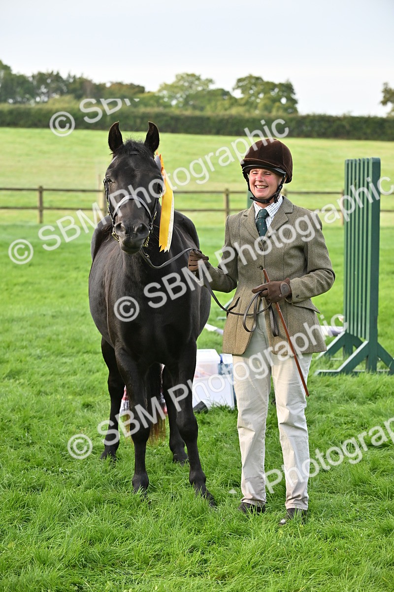 SBM_55391 - S44 - Youngstock In Hand