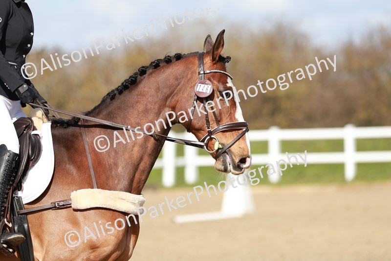 20260314-2903 - DR3 - Prelim 1