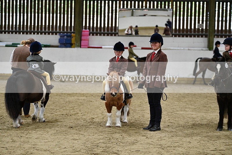 WJ5_7075 - Class 10 Childs Pony