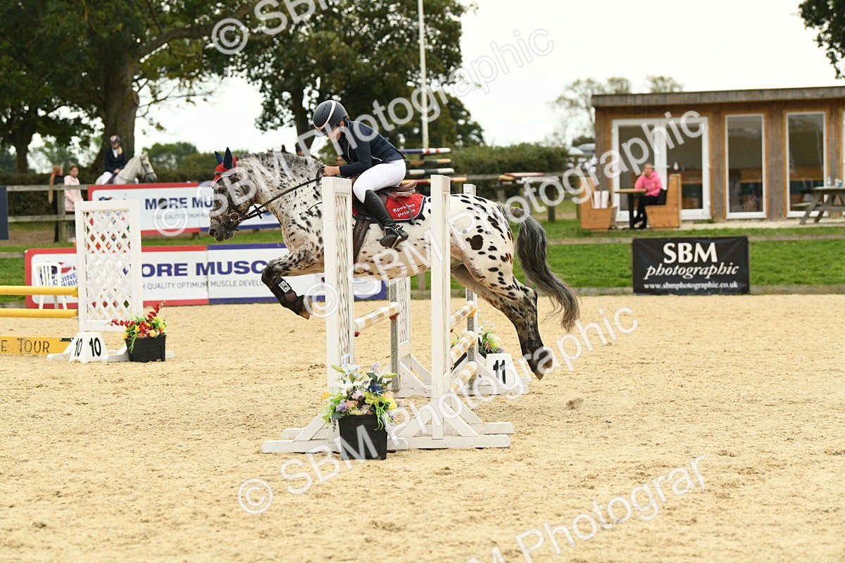 SBM_73101 - J16 - Junior Pony 75cm Championship