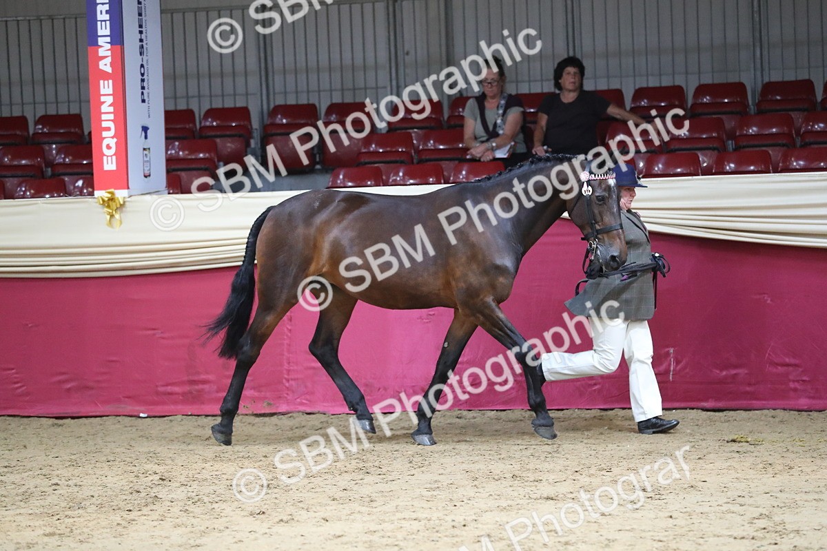 SBM_06269 - Class 9R Regional- IH Pre Vet