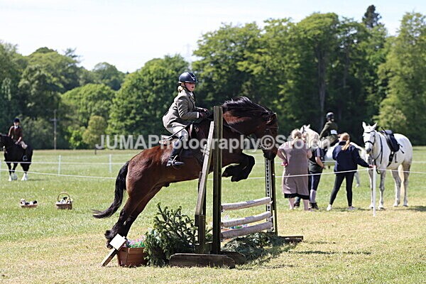 IMG_3600 - Working Hunter