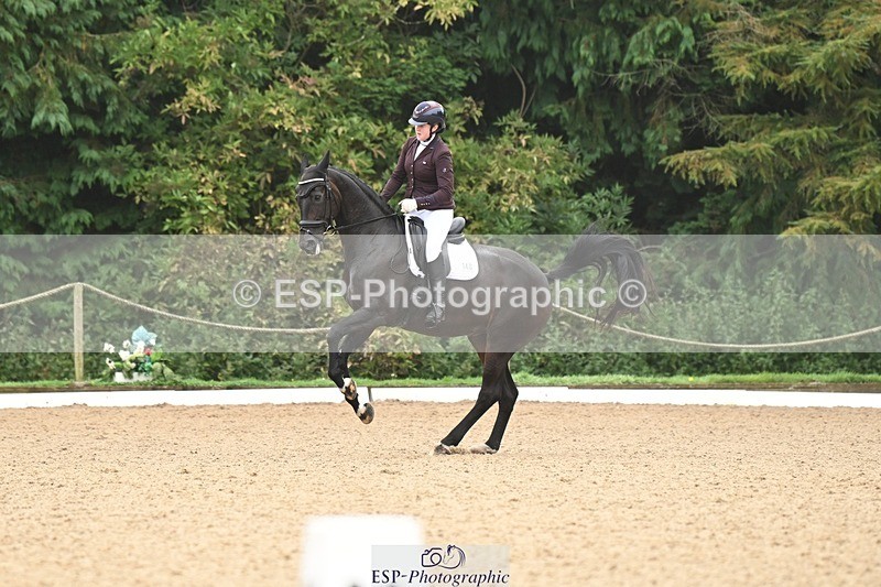 240811-100001-04915 - 148-Sophia.Marston-Solitaire.ll