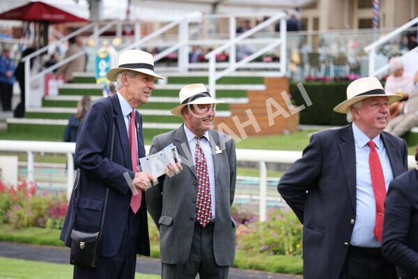 yr23072021r5-38 - Race 5 8.00pm Gallop Racing Stakes