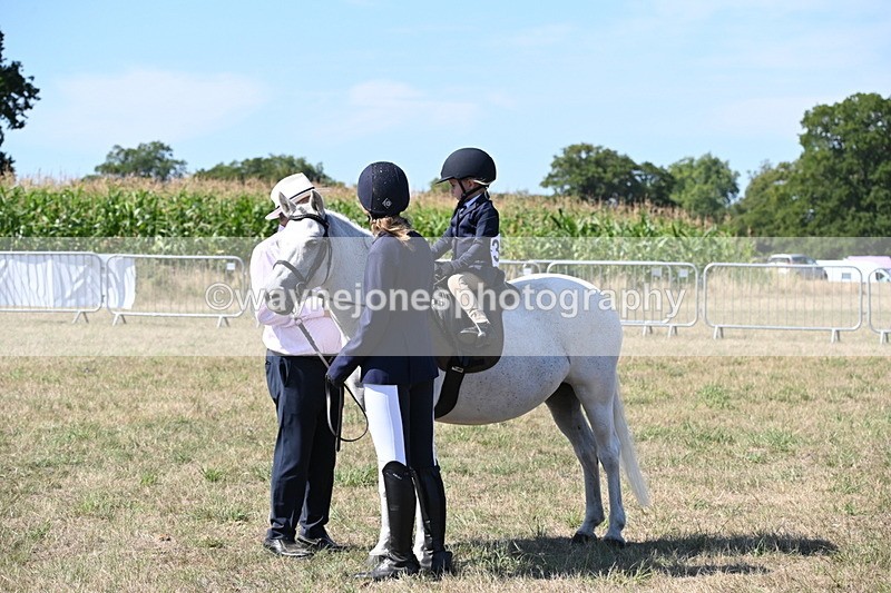 WJ6_7984 - Class 36 Lead Rein
