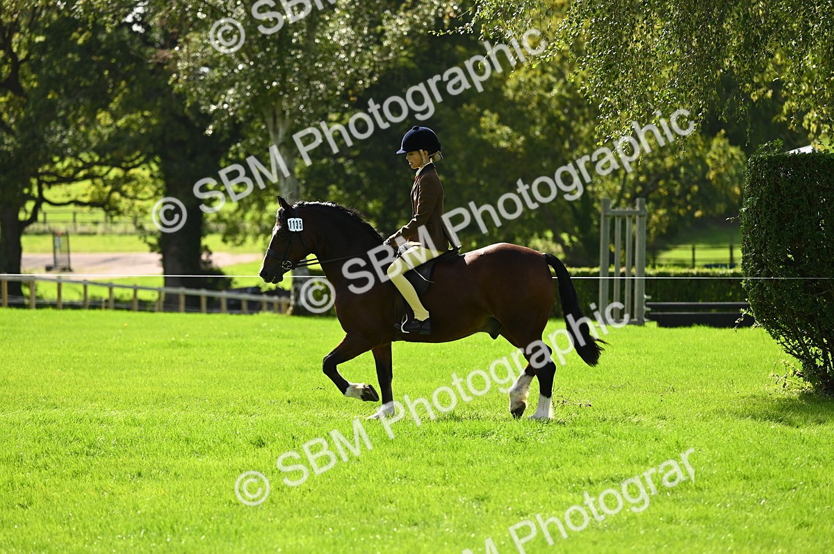 SBM_02765 - S3 - TSR Ridden Pony Showing