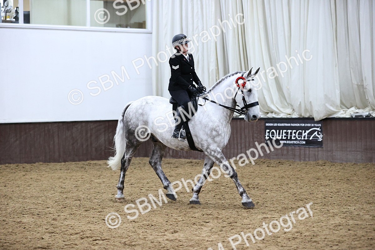 SBM_6322 - Class 17 - IDHSG Challenge Pure Breed