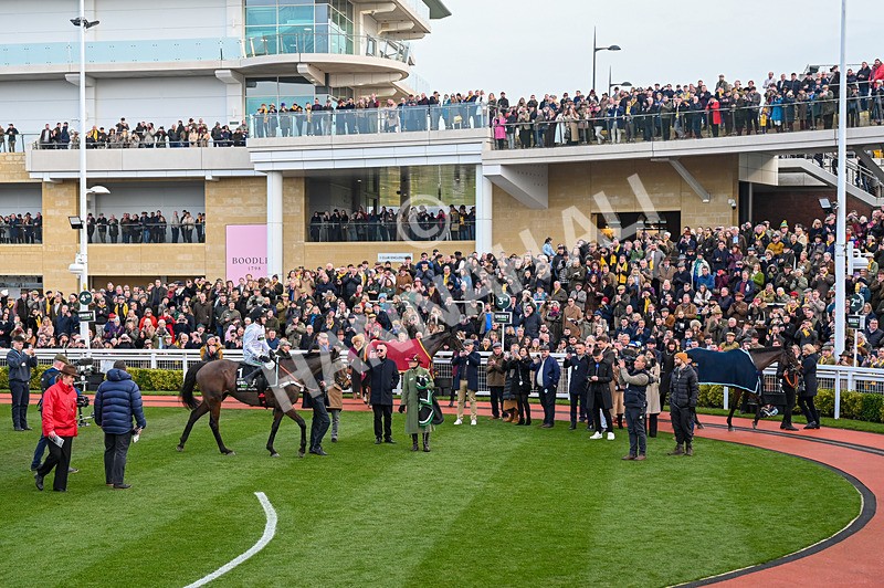 250125-Race 5-Constitution Hill-3580