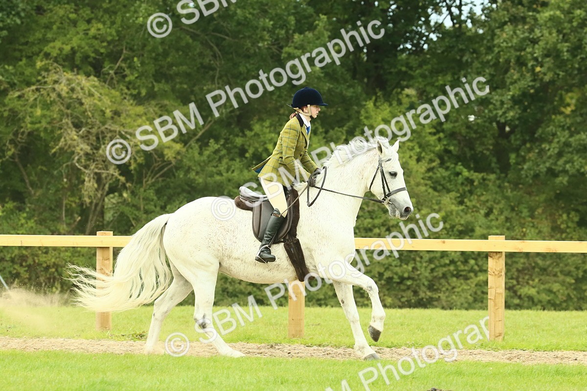 SBM_71915 - S60 - Mountain & Moorland Ridden Large Breeds