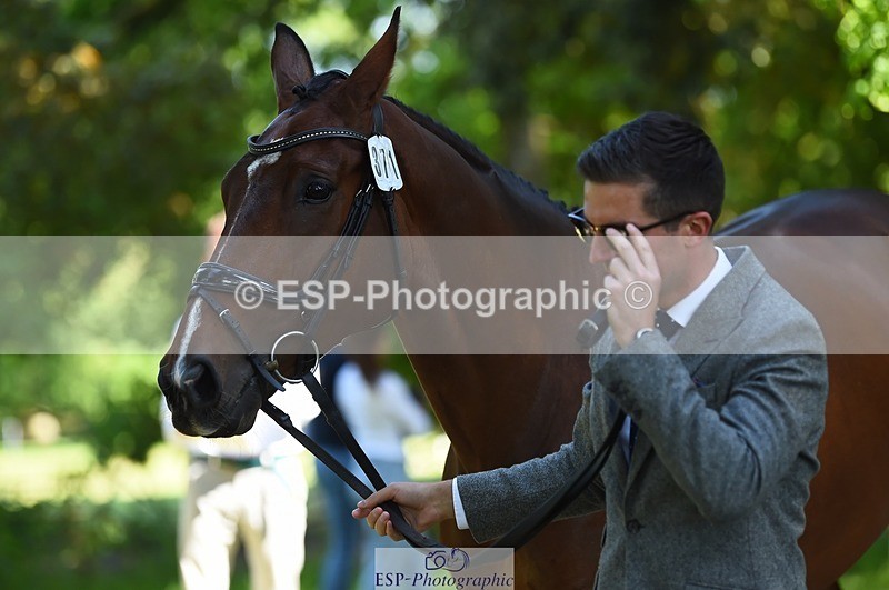 230524-153916-00418 - 371-JERPOINT_ECLIPSE-Max_Gordon-WEDTrotUp+DR