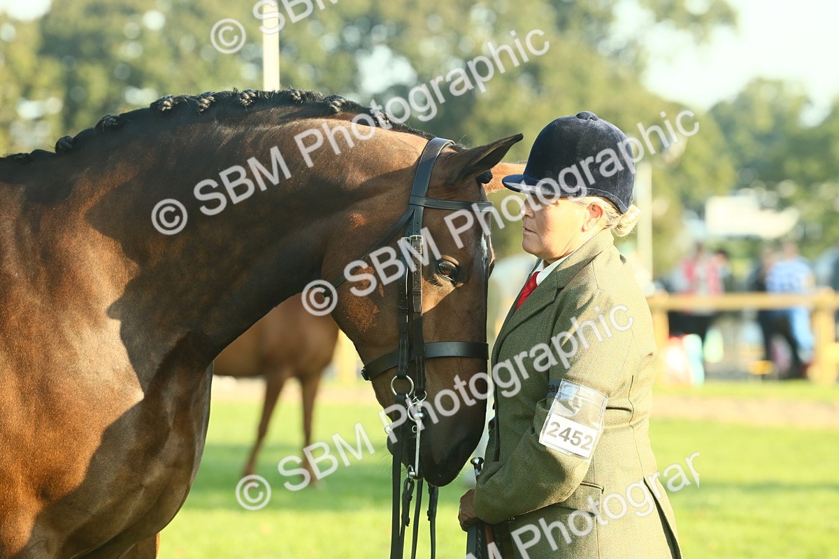 SBM_56700 - S36 - Starters Best Turnout