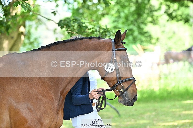 250521A-155456-00838 - B-378-Molly.Brown-KILRUSH.RED