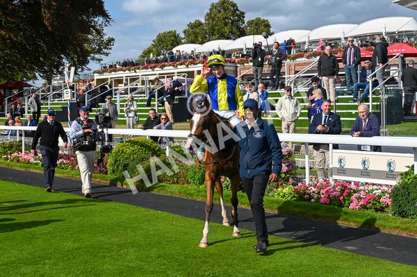 230824-Race 5-Canoodled-9297 - Race 5 4.10pm Assured Data Protection EBF Fillies' Handicap