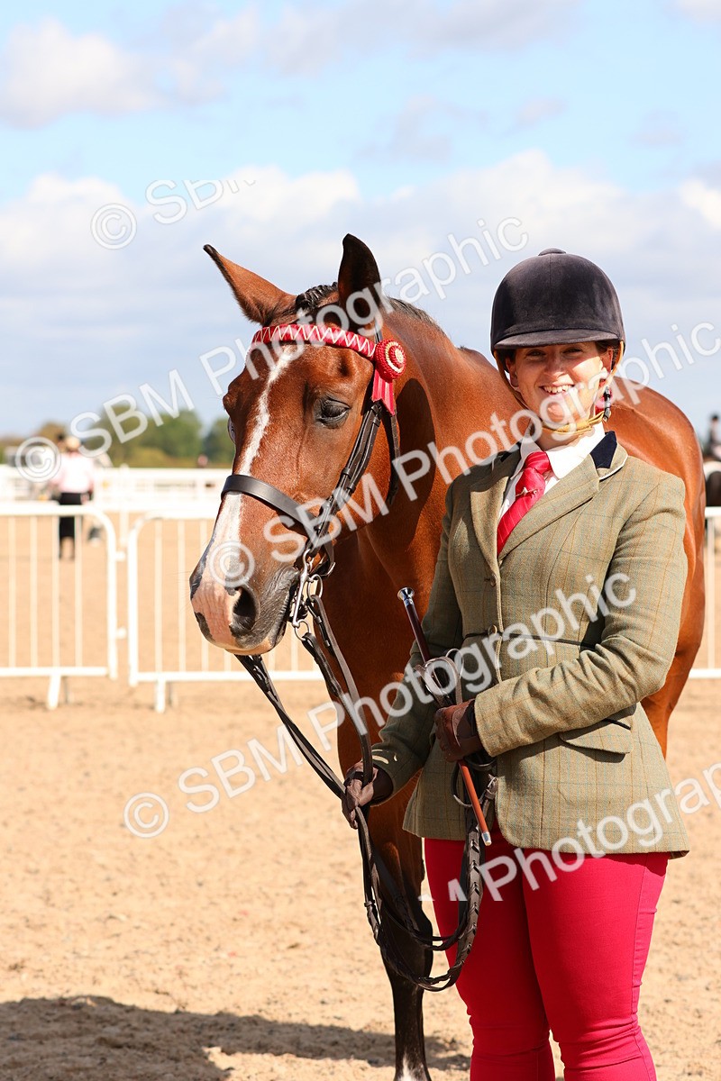 SBM_11713 - Class 208 - IH Veteran Horse