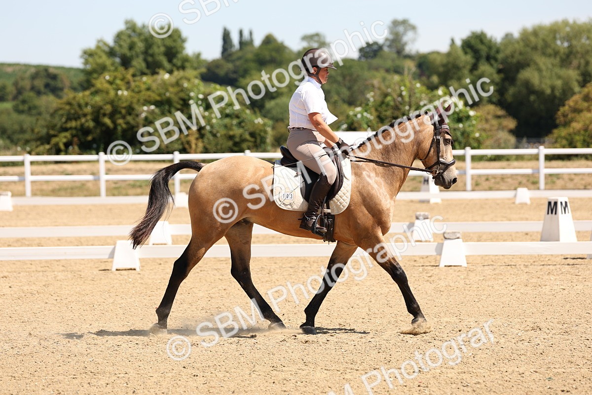 SBM_001211 - Intro 2