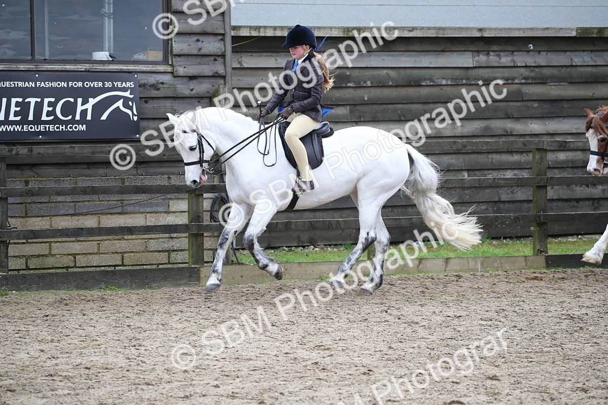 SBM_006152 - Class 10-13 - RIHS Small Large Breeds