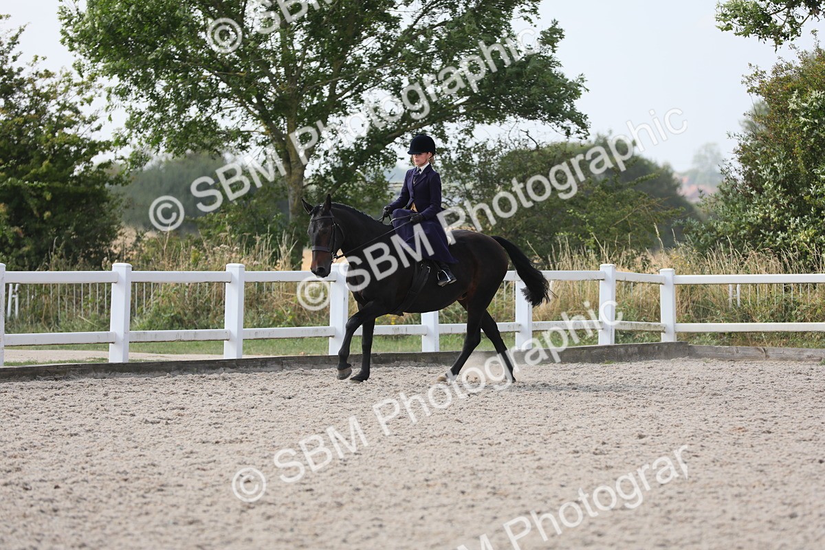 SBM_14569 - Class 211 Best Side Saddle Horse/Pony