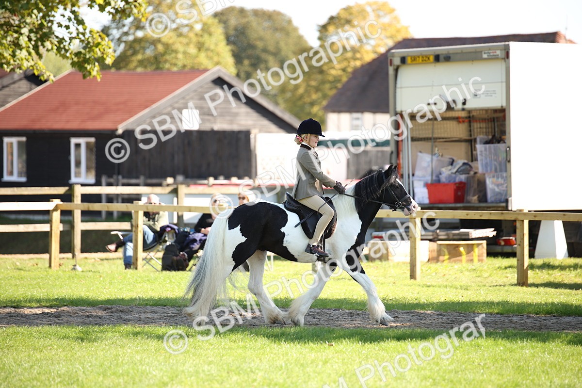 SBM_38989 - S11 - Best Ridden Horse & Pony