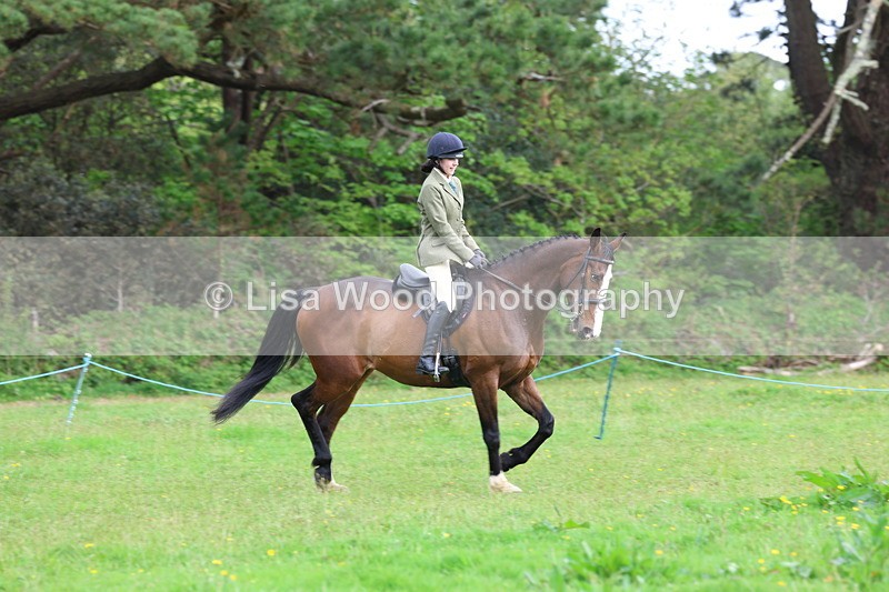 3E7A2497 - Classes 30 and 31: 80cm Working Hunter