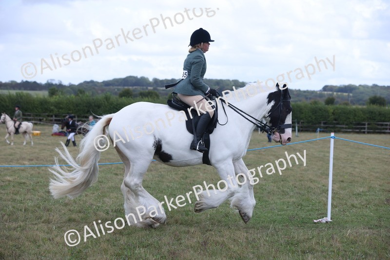 20250831-4254 - Class 20 - Ridden Coloured