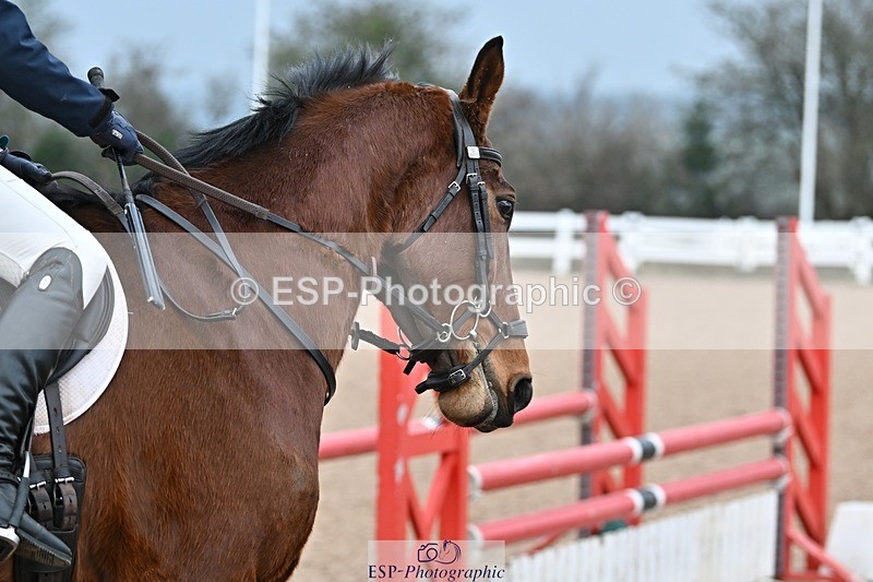 250219-091501-00082 - Clear Round