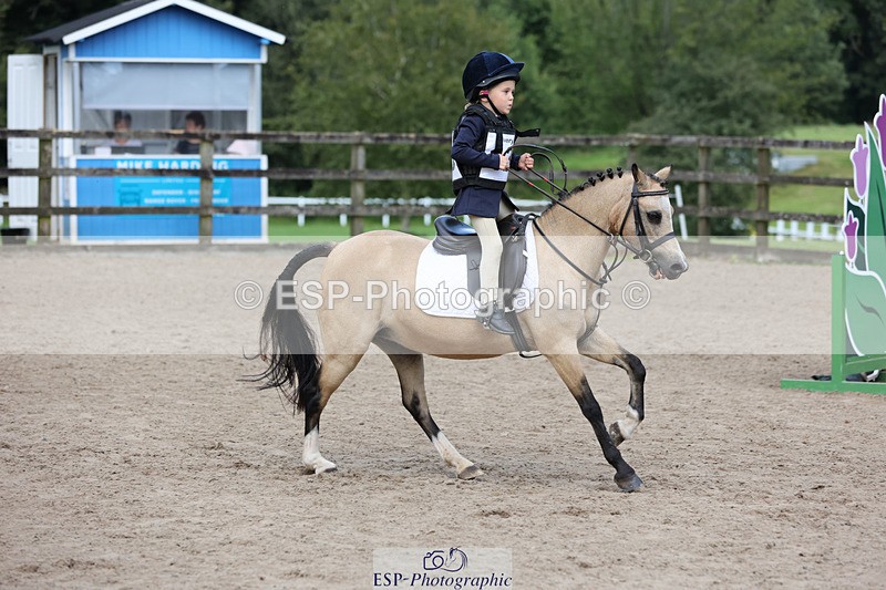 240822X-160907-13124 - 40cm A R1 15.53 to 16.48
