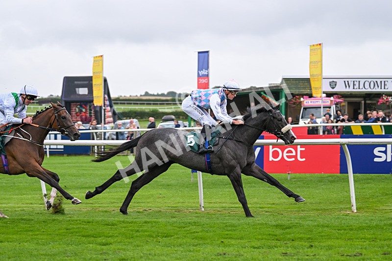 230725-Race 1-Tailgunner Joe-9622 - Race 1