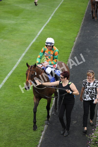 yr23072022r1-38 - Race 1 2.05pm Sky Bet Jump Jockeys Nunthorpe