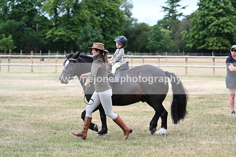 WJ7_9833 - Class 1 Lead Rein Pony