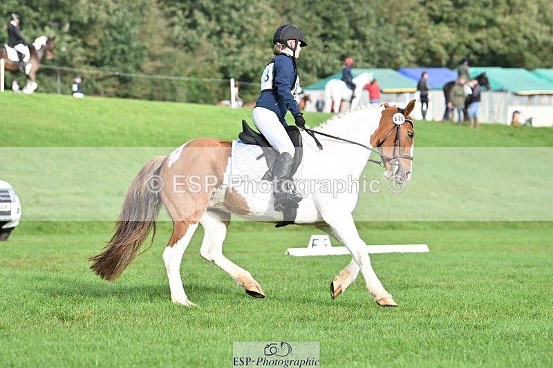 231020-102710-07624 - 638-I.FOUND.NEMO-Jacky.Jones-DR