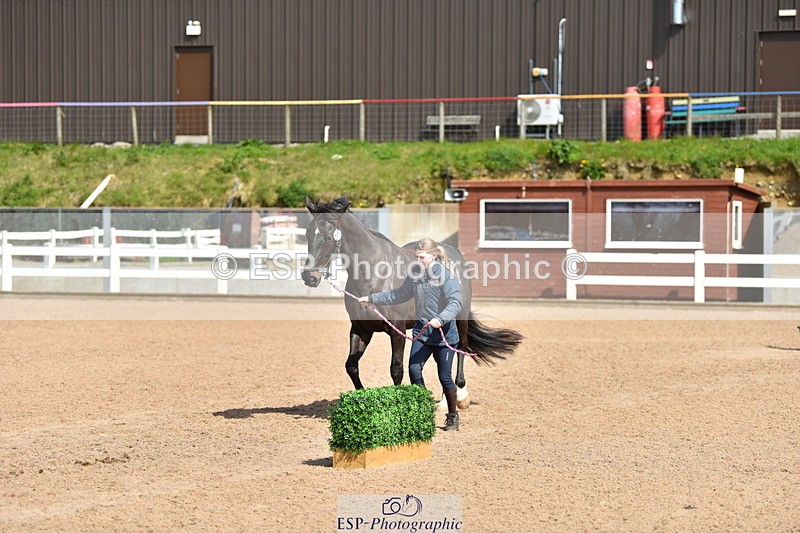 240417A-150648-00733 - 3pm to 4pm