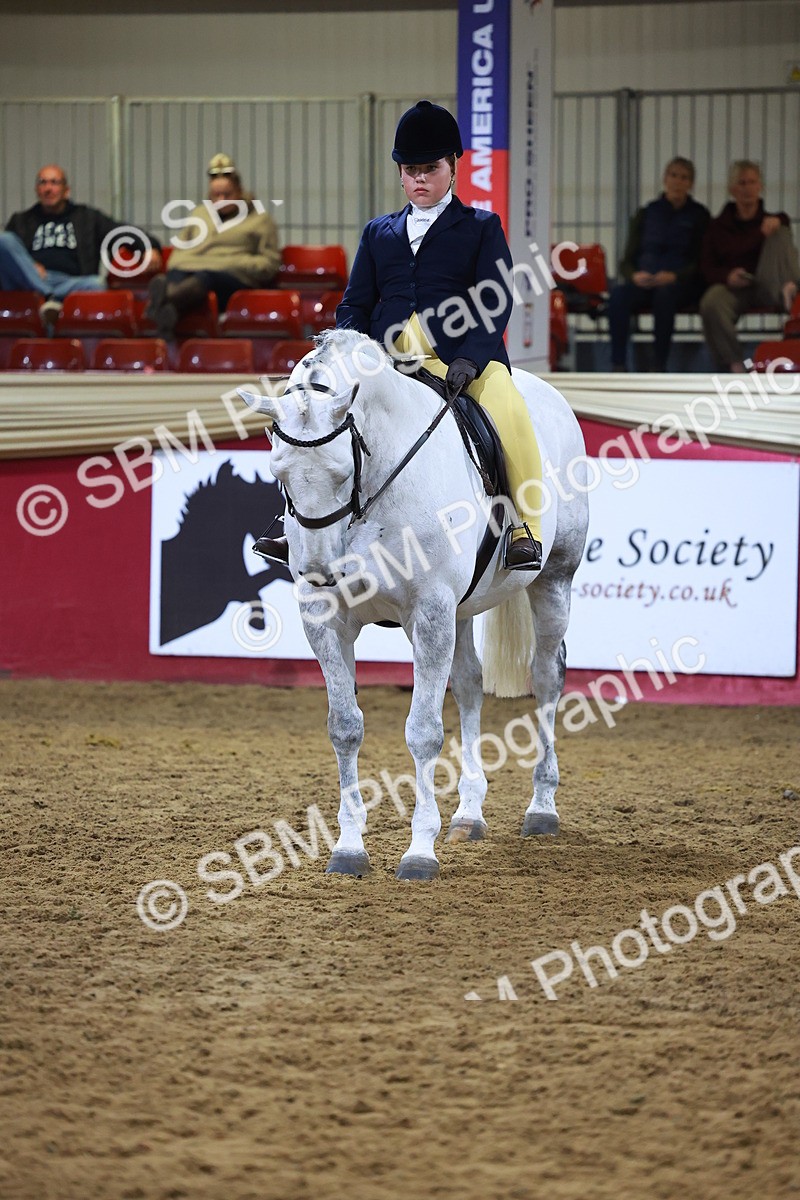SBM_14972 - Class M - Equitation Champ