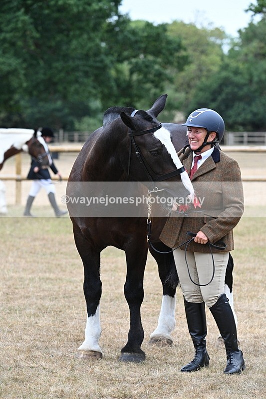 WJ7_0154 - Class 5a Most Handsome Gelding (above 14.2hh)