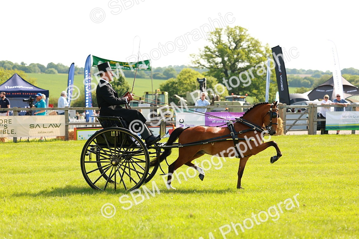 SBM_02586 - Class 2-4 - HOYS Private Driving