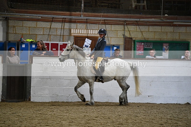 WJ5_7908 - Class 13 Ridden Part Breed