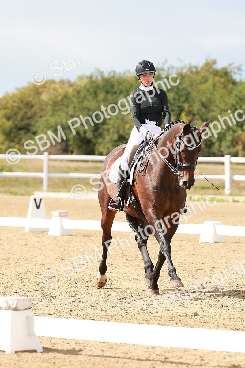 SBM_002478 - Class 11 - Medium 6