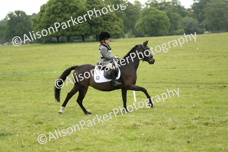 20250517-0478 - Class 20 - Beginners Working Hunter