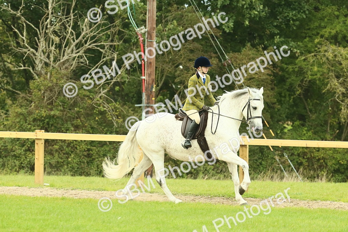 SBM_71895 - S60 - Mountain & Moorland Ridden Large Breeds